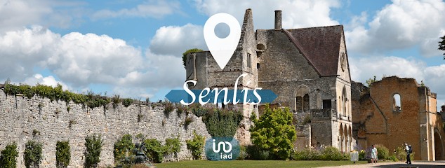 Immobilier Lionel DEBRAS - Iad France, Agence Immobilière à Senlis