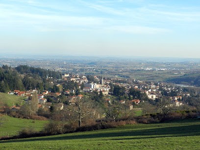 MonGest° Immobilier, Agence Immobilière à Vaugneray