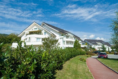 Home'Nest Immobilier, Agence Immobilière à Divonne-les-Bains