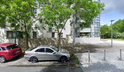 Agence Immobiliere Toulouse Et Ramonville L'Orée Verte Immobilier, Agence Immobilière à Ramonville-Saint-Agne