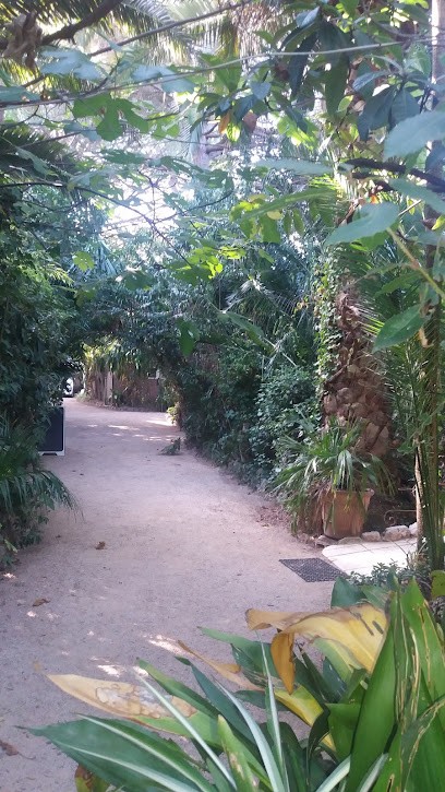 Clos des Oliviers, Agence Immobilière à Vallauris