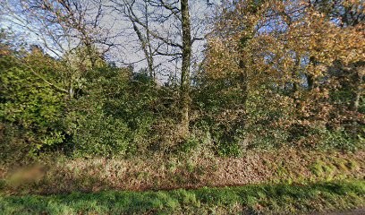 Ouest Alliance - Agence Châteaubriant, Agence Immobilière à Châteaubriant