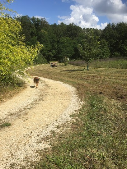 Bouriane Maisons, Agence Immobilière à Marminiac