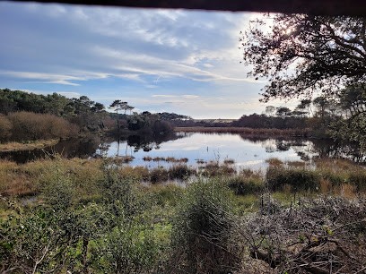 SWELL Immo Moliets, Agence Immobilière à Moliets-et-Maa
