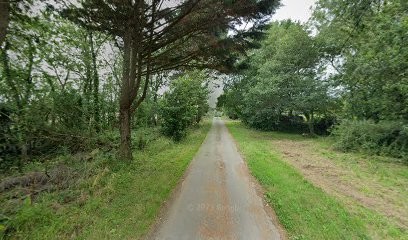 Treemmo-France, Agence Immobilière à Hôpital-Camfrout