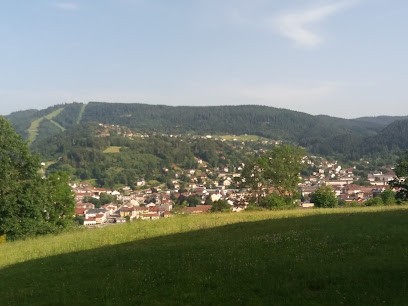 Dryades Les, Agence Immobilière à Gérardmer