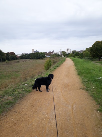 Nièvre Habitat, Agence Immobilière à Nevers