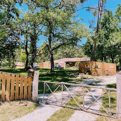 Carré Habitat33 L’immobilier du Ciron 33730, Agence Immobilière à Noaillan