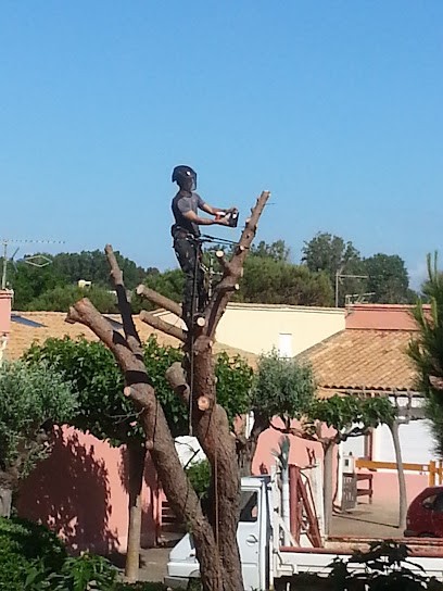 Agence alborane.com, Agence Immobilière à Valras-Plage
