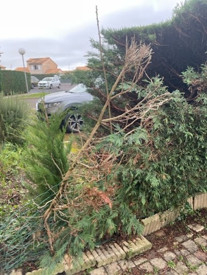 Agence immobilière Lamy Royan Desplats, Agence Immobilière à Royan