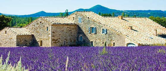 Demeures Provençales, Agence Immobilière à Lagnes