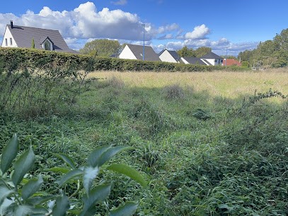 Aurélien BRACQ Conseiller Immobilier IAD FECHAIN, Agence Immobilière à Féchain