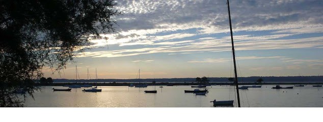 Cap Ferret Immobilier . Com Sarl Immoacasa - Agence Immobilière Cap Ferret, Agence Immobilière à Lège-Cap-Ferret