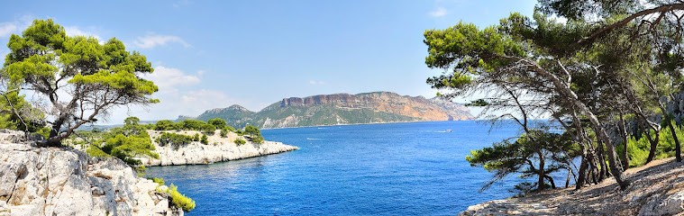 L'Immobilière Bleue - Sausset Les Pins, Agence Immobilière à Sausset-les-Pins
