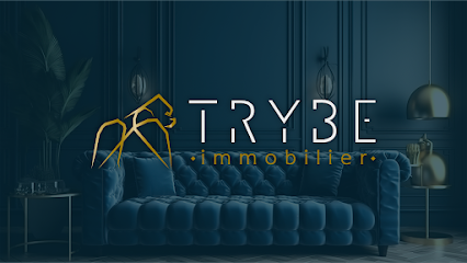 Trybe Immobilier Montpellier Agence Immobilière à Castelnau-le-Lez