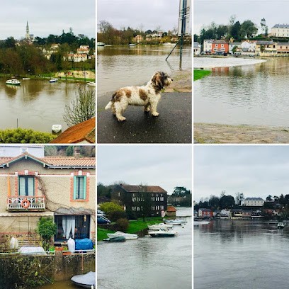 Marie Le Bohec -IAD-, Agence Immobilière à Vertou