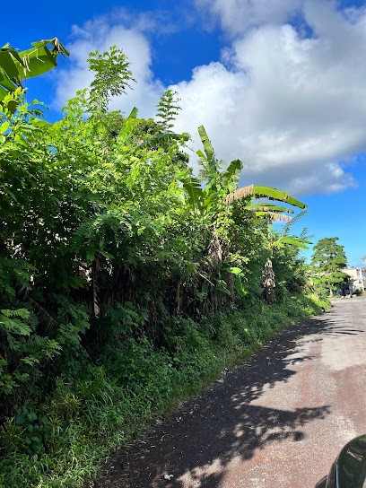 I2a Immobilier IDF, Agence Immobilière à Fontenay-sous-Bois