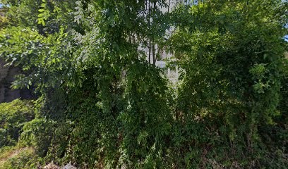 Autrement Immobilier, Agence Immobilière à Lamothe-Cassel