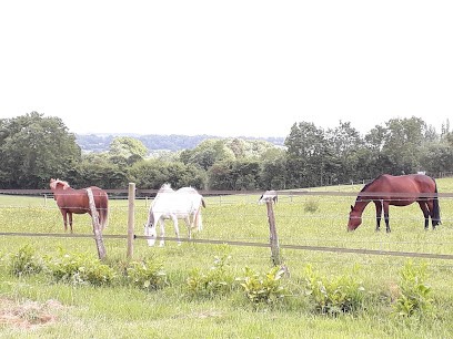 LANDS & STONES, Agence Immobilière à Saint-Pierre-des-Ifs
