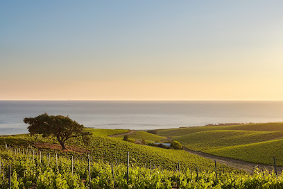 Thémis Transactions - Vente Domaines Et Châteaux Viticoles Agence Immobilière à Hyères