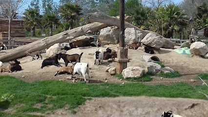 Lacheze Marianne, Agence Immobilière à Sainte-Marie-la-Mer