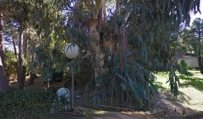 NEGOCIANT IMMOBILIER, Agence Immobilière à Lecci