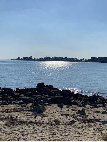 AGENCE IMMOBILIERE IMMOVANNES DELPHINE MOLINA, Agence Immobilière à Crach