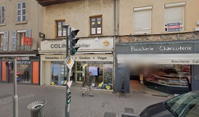 Colin Immobilier, Agence Immobilière à Villefranche-sur-Saône