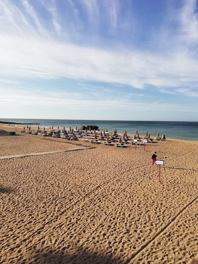Asseman Stéphane, Agence Immobilière à Merris