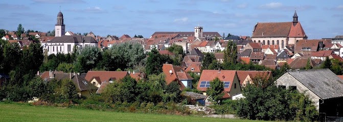 André EBEL Immobilier, Agence Immobilière à Wasselonne
