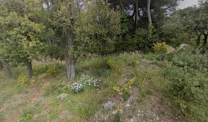 Villa Esperanza, Agence Immobilière à Saint-Paul-de-Vence