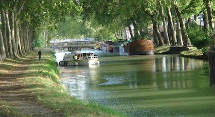 Id9V Conseil Agence Immobilière à Toulouse