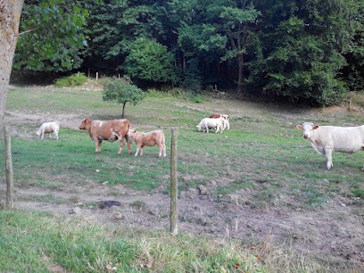 Agence immobilière Breton & Jeanneau - Montsûrs, Agence Immobilière à Montsûrs-Saint-Céneré