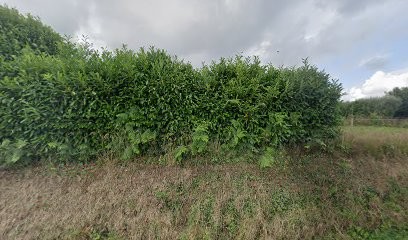 Xavier Fellous, Agence Immobilière à Taulé