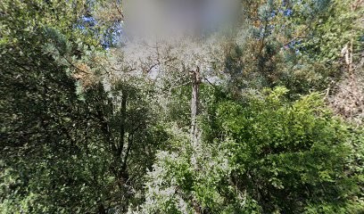 Ste Civile Du Domaine De Venoux, Agence Immobilière à Gilhac-et-Bruzac