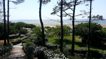 Agence Coullaud, Agence Immobilière à La Teste-de-Buch