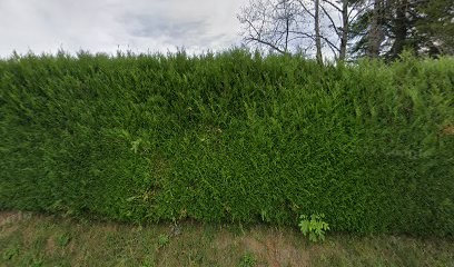 Toah Immobilier, Agence Immobilière à Argonay