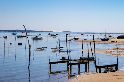 Valérie Lacroix Immobilier Agence Immobilière à Arcachon