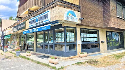 Cîmes & Neige Immobilier Vallouise, Agence Immobilière à Vallouise