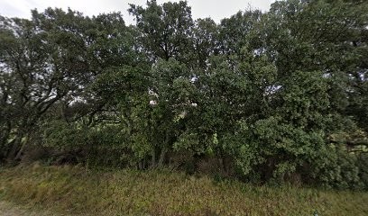 Fabien Antoine Agence Alexandry Immobilier, Agence Immobilière à Uchaux