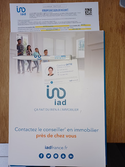 Iad France-Caroline Ditte- Condette, Agence Immobilière à Condette