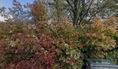 Conseils en recherches immobilières, Agence Immobilière à La Gaude