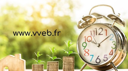 Vendre Vite Et Bien, Agence Immobilière à Saint-Orens-de-Gameville