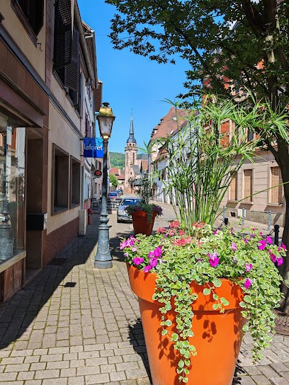 Laforêt Molsheim, Agence Immobilière à Molsheim