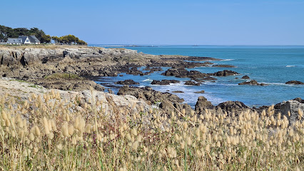 Matthieu Le Brenn Conseiller En Immobilier Iadfrance Agence Immobilière à Batz-sur-Mer