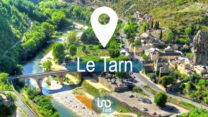 Gavin Pellé iad France Le Garric, Agence Immobilière au Garric