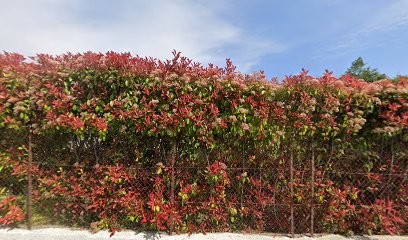 R & G Immobilier, Agence Immobilière à Saint-Paul-de-Vence