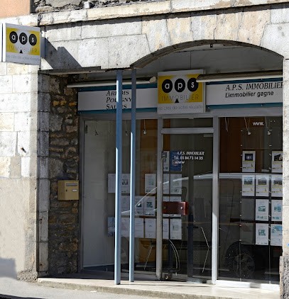 APS Immobilier, Agence Immobilière à Salins-les-Bains