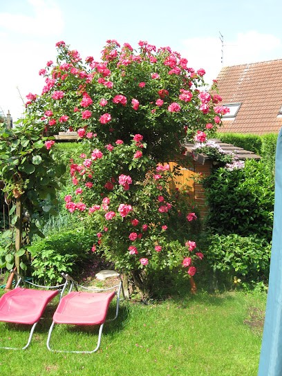 Agence Immobilière de Lambersart : Logéhome, Agence Immobilière à Lambersart